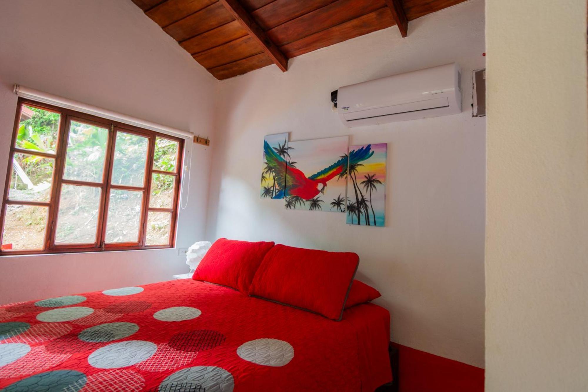 Selva Color - Forest & Beach Ecolodge Quebrada Ganado Rom bilde