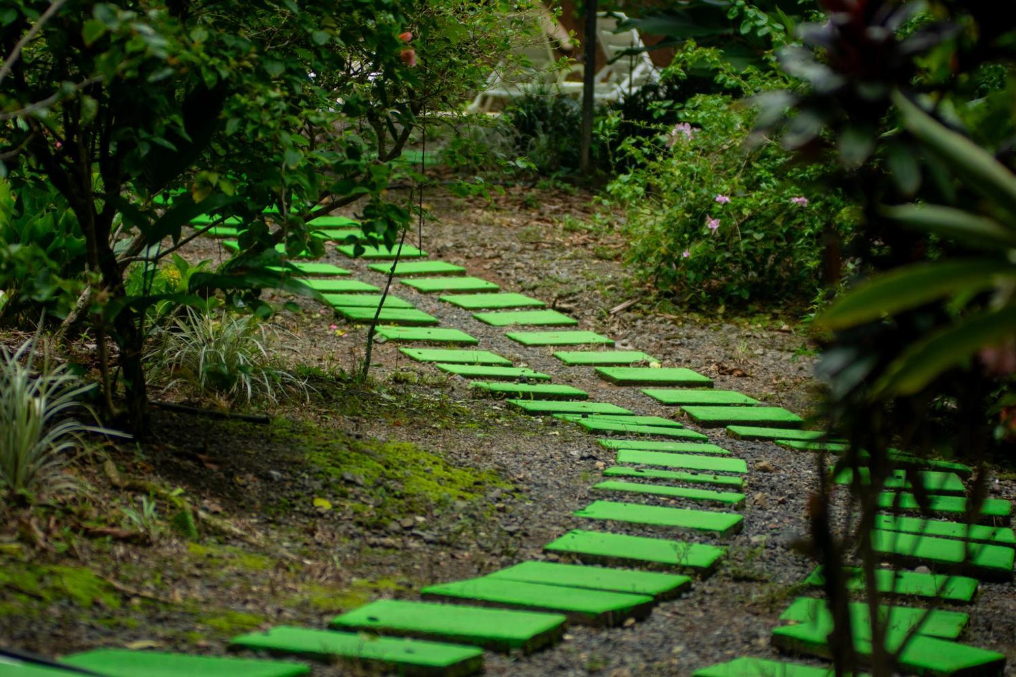 Selva Color - Forest & Beach Ecolodge Quebrada Ganado Eksteriør bilde