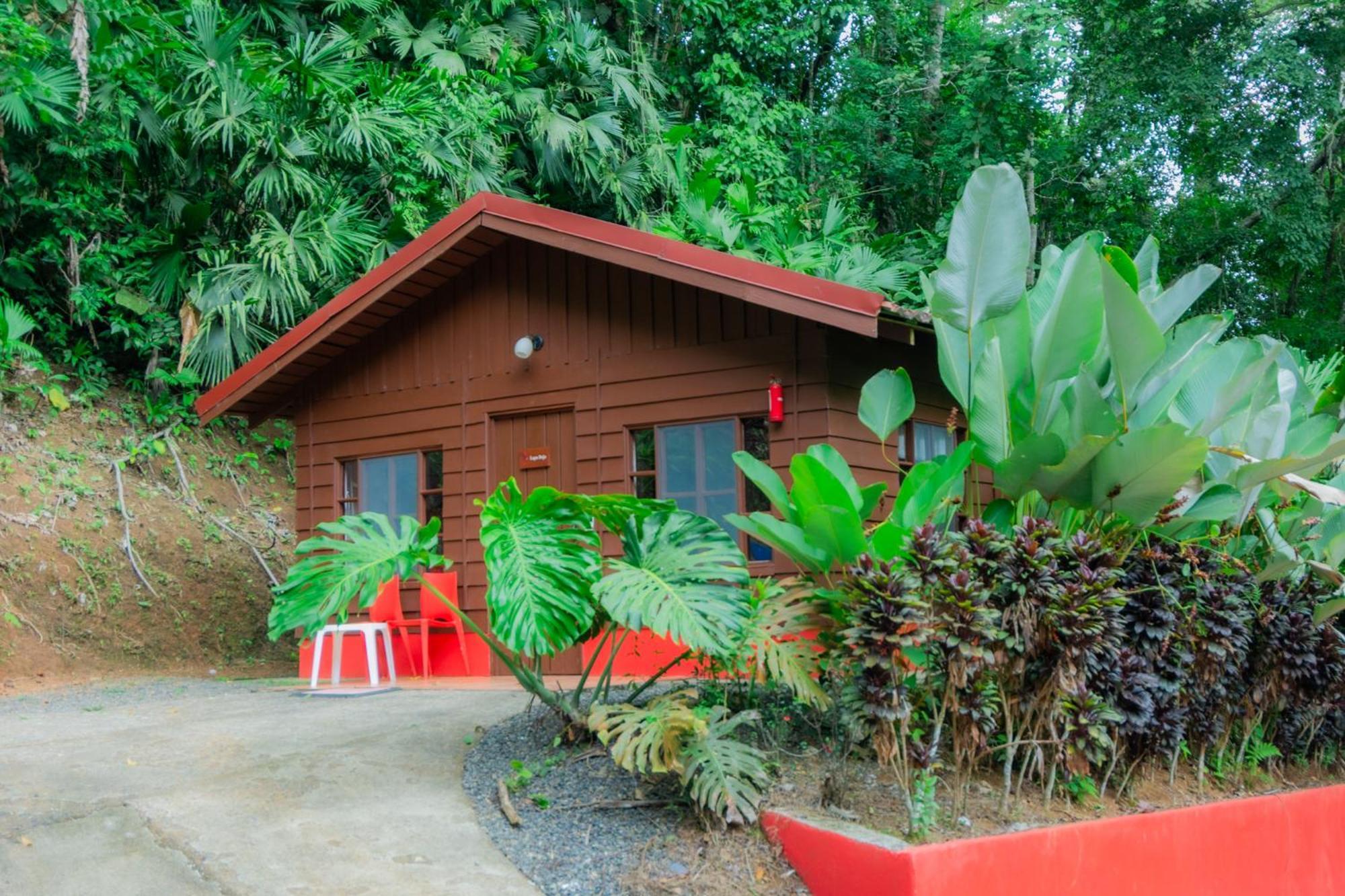 Selva Color - Forest & Beach Ecolodge Quebrada Ganado Eksteriør bilde