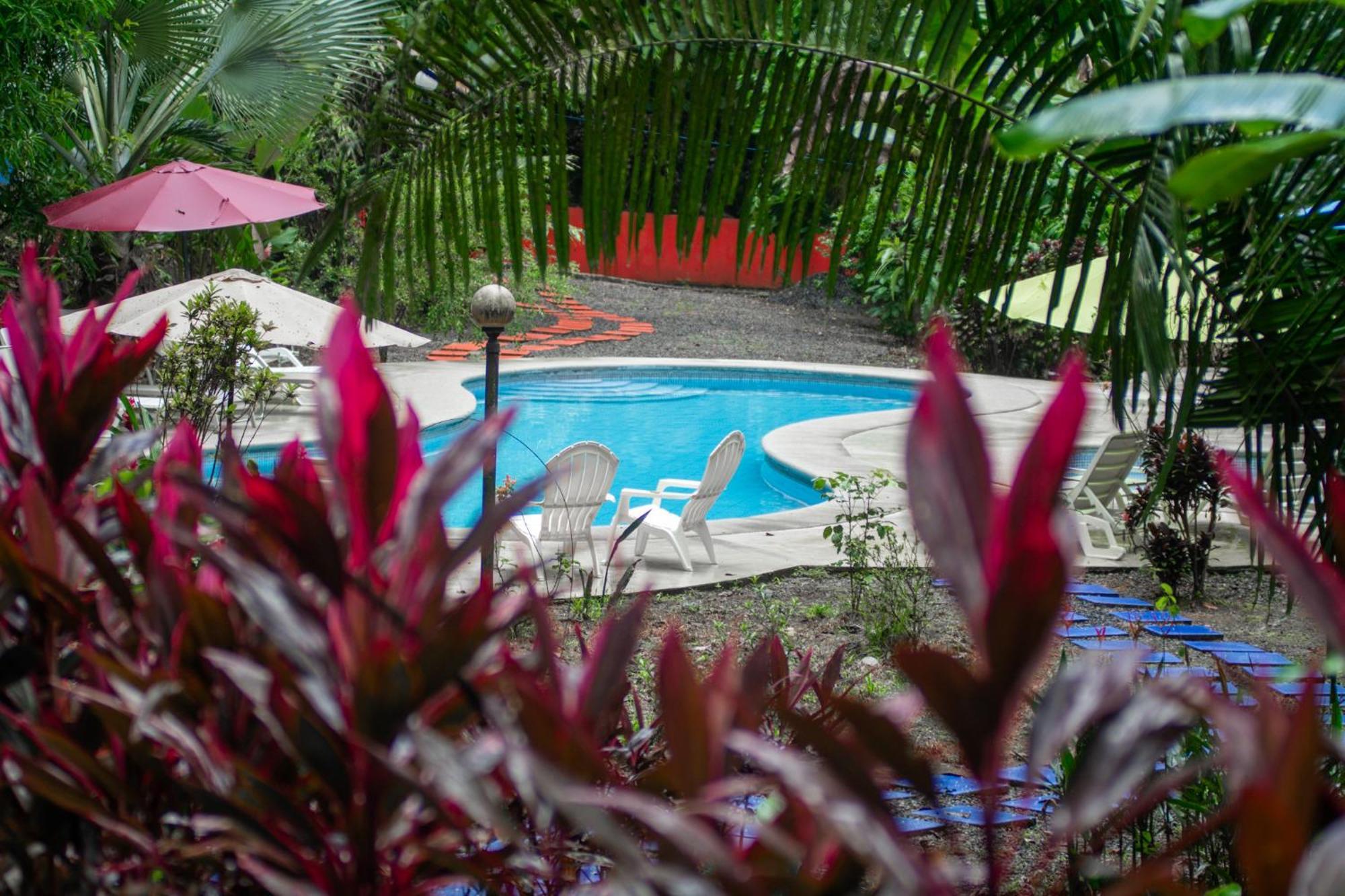 Selva Color - Forest & Beach Ecolodge Quebrada Ganado Eksteriør bilde